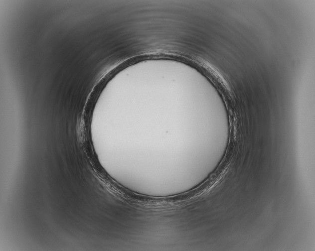 X0000113040876200909171519