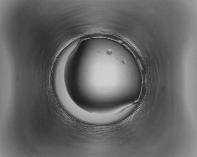 X0000113040877200909171519