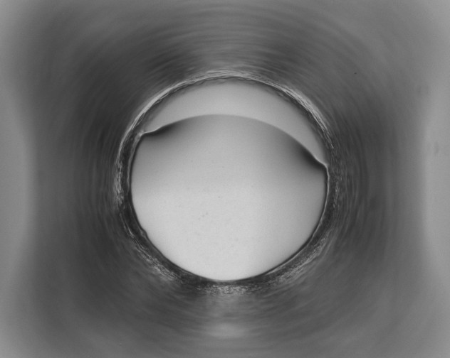 X0000113040878200909171519