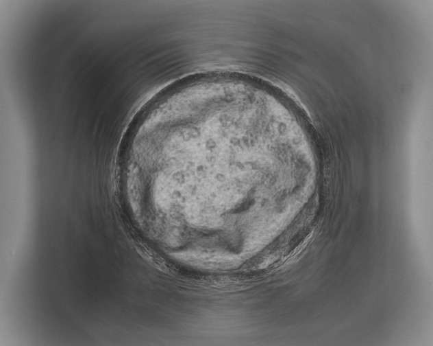 X0000113040879200909171519