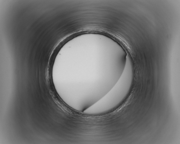 X0000113040880200909171519