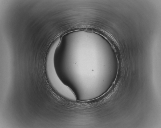 X0000113040881200909171519