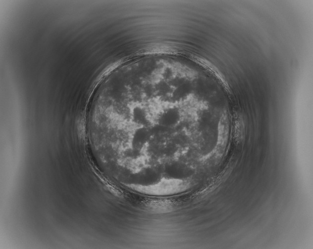 X0000113040882200909171519