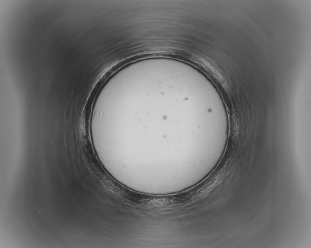 X0000113040883200909171519