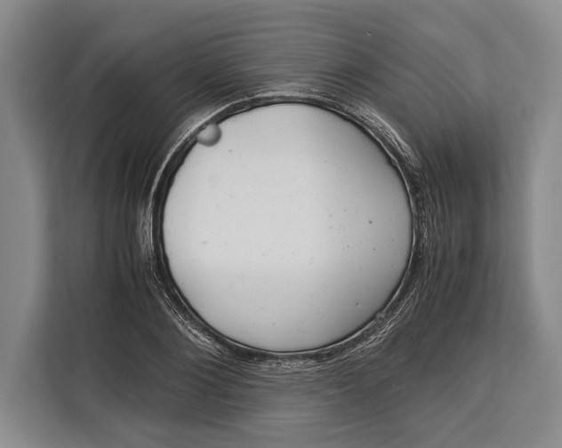 X0000113040884200909171519