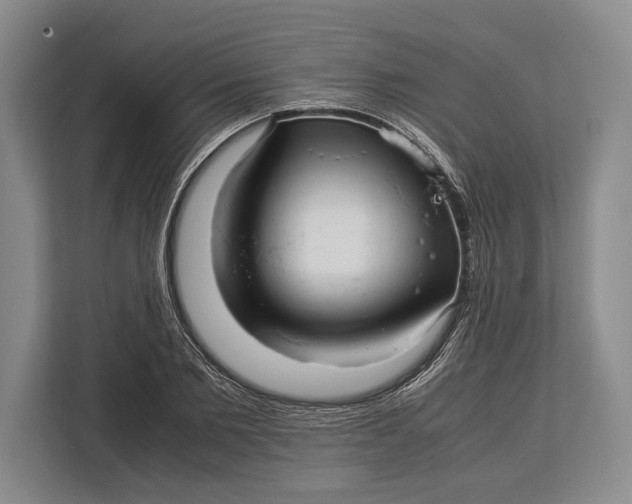 X0000113040885200909171519
