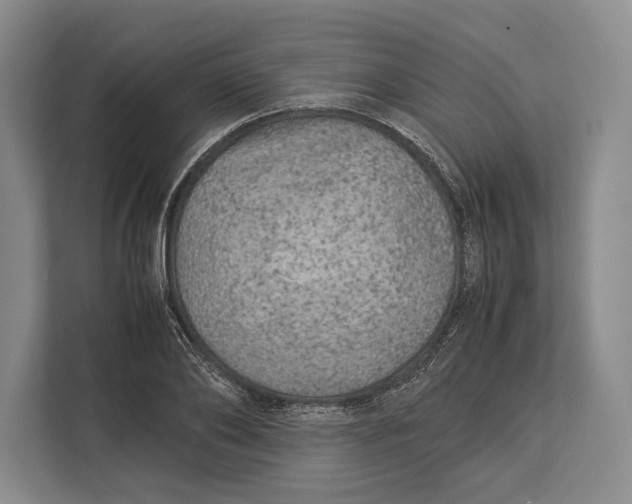 X0000113040886200909171519