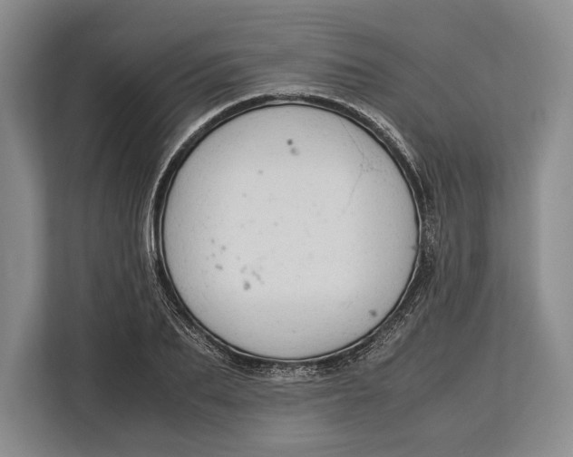 X0000113040887200909171519