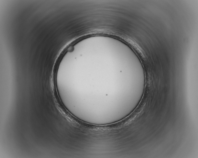 X0000113040888200909171519