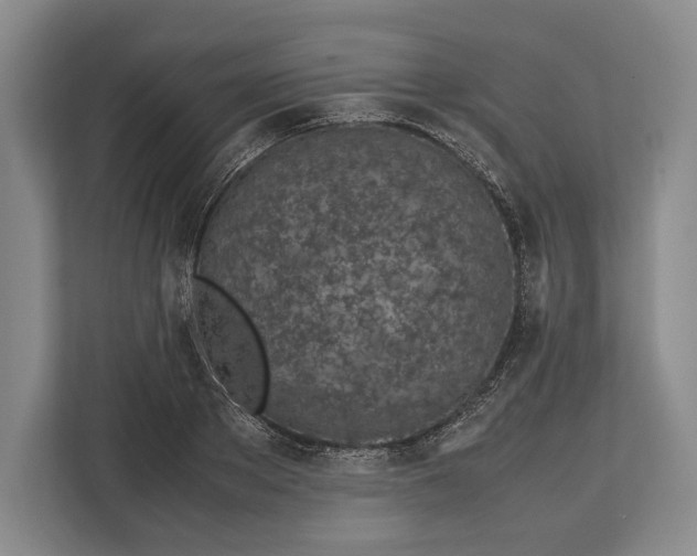 X0000113040889200909171519