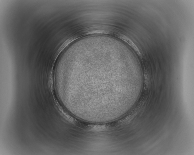 X0000113040890200909171519