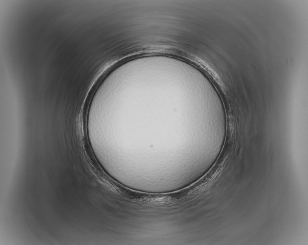 X0000113040891200909171519