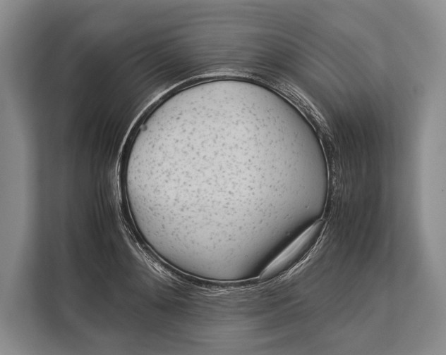 X0000113040892200909171519