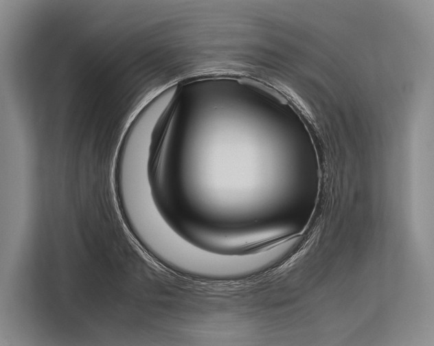 X0000113040893200909171519