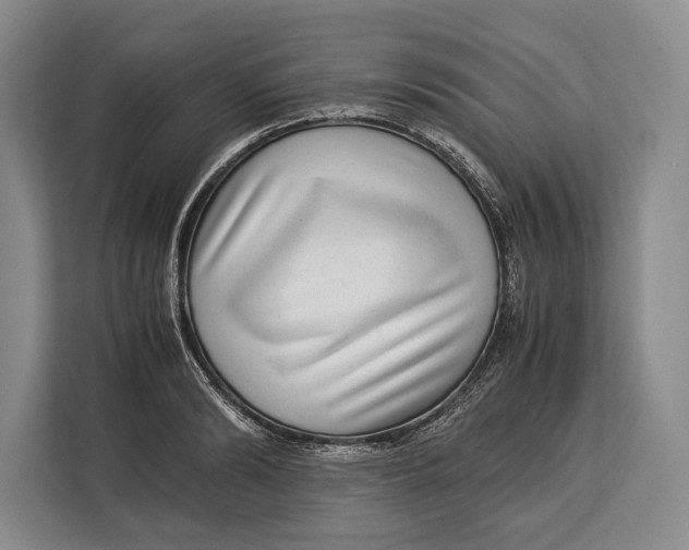 X0000113040894200909171519
