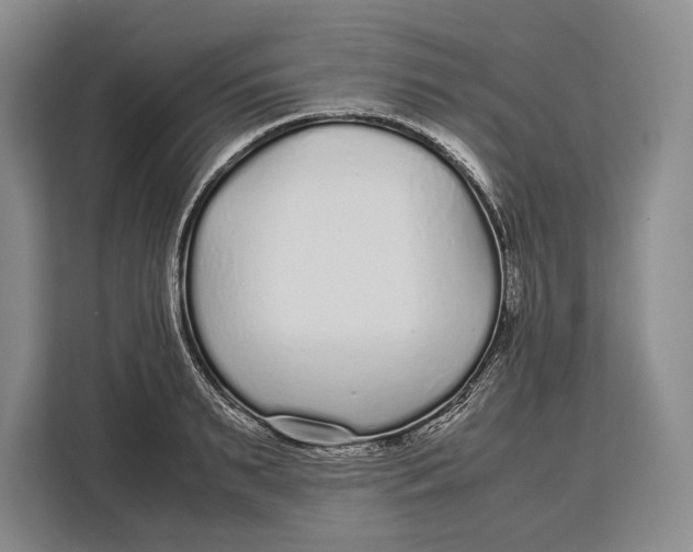 X0000113040895200909171519