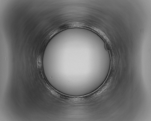 X0000113040897200909171518