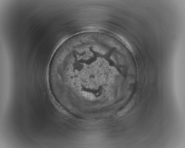 X0000113040899200909171518