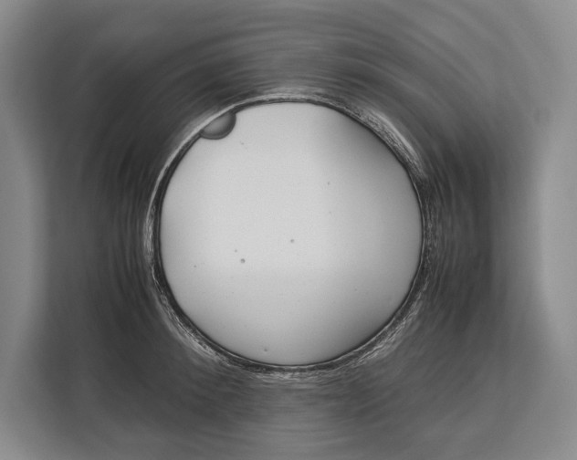 X0000113040900200909171518