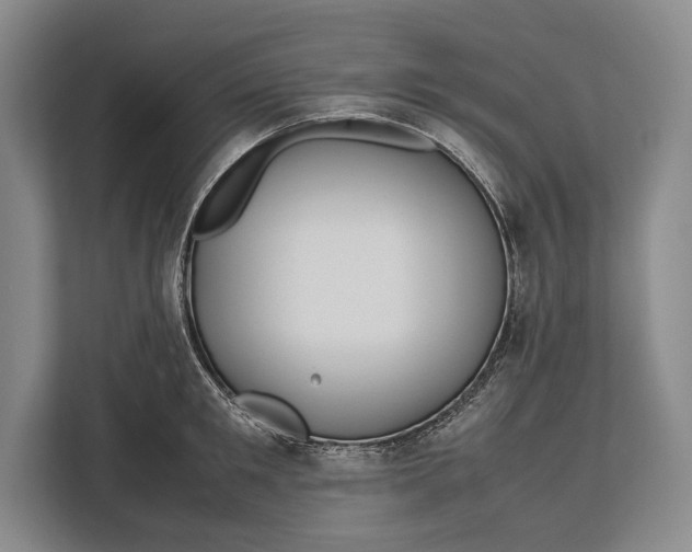 X0000113040901200909171518