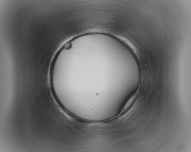 X0000113040902200909171518