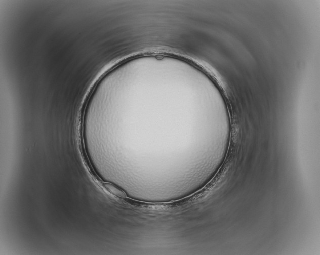 X0000113040903200909171518