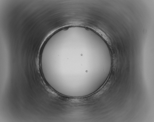 X0000113040904200909171518