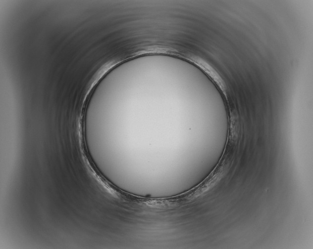 X0000113040906200909171518