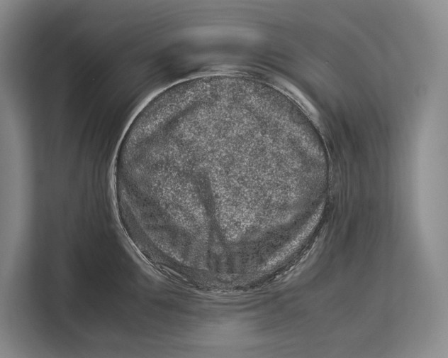 X0000113040907200909171518