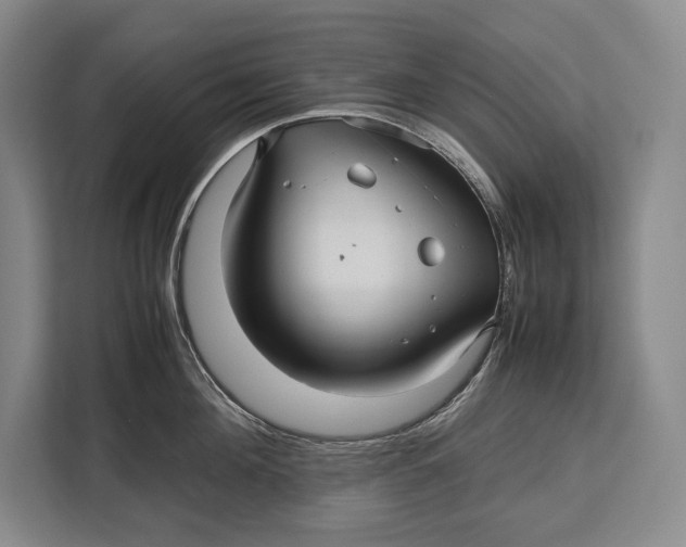 X0000113040908200909171518
