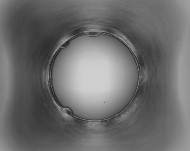 X0000113040909200909171518