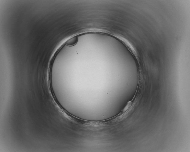 X0000113040910200909171518