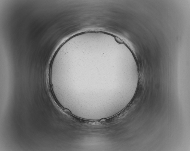 X0000113040911200909171518