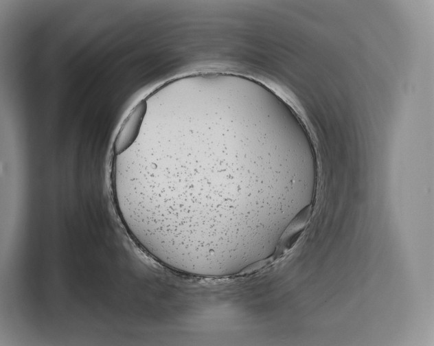 X0000113040912200909171518