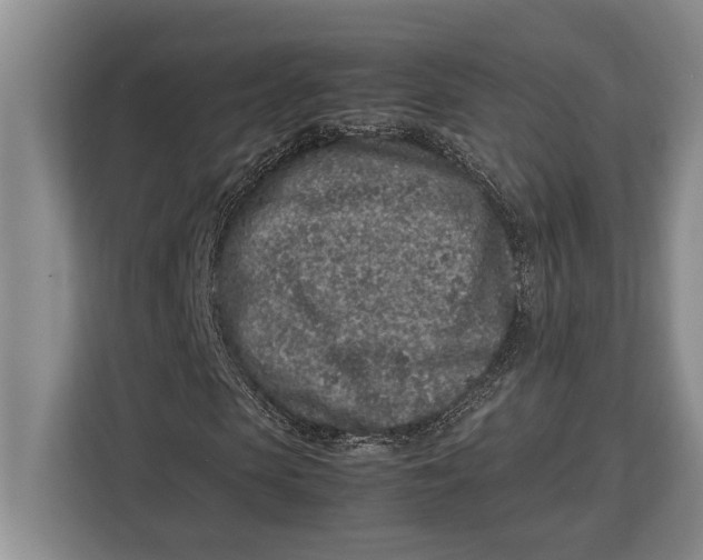 X0000113040913200909171518