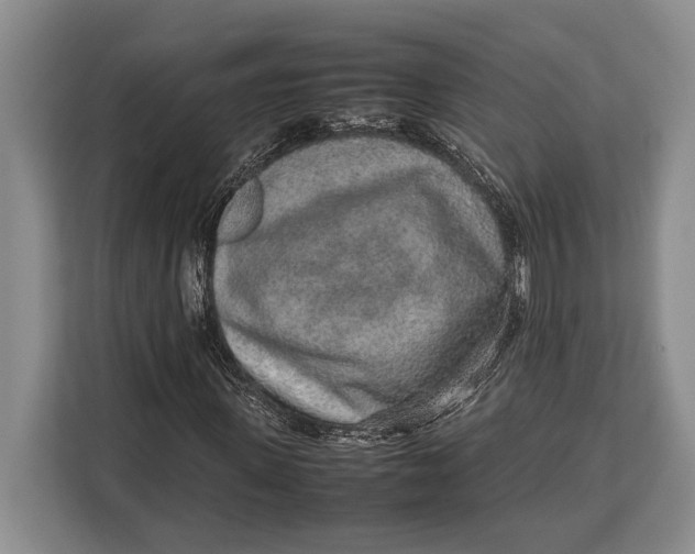 X0000113040915200909171518