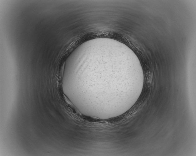 X0000113040916200909171518