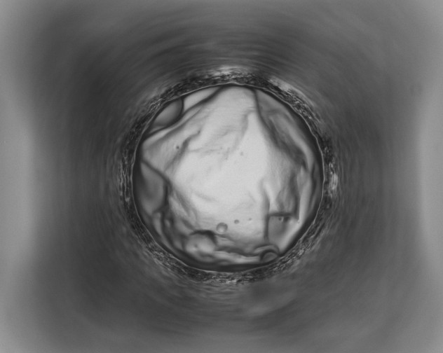 X0000113040917200909171518