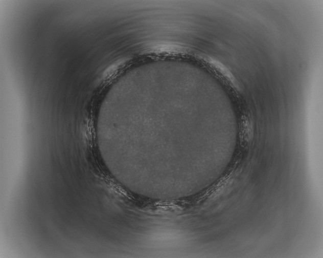 X0000113040918200909171518
