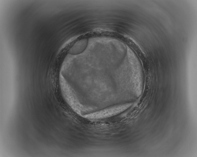 X0000113040919200909171518