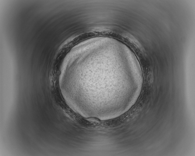 X0000113040920200909171518