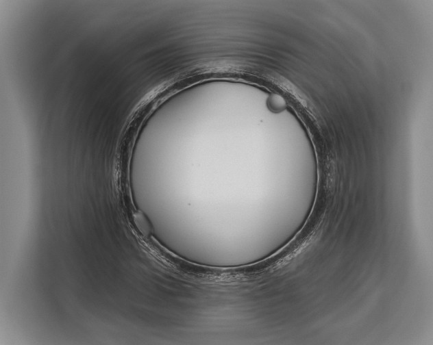 X0000113040922200909171518
