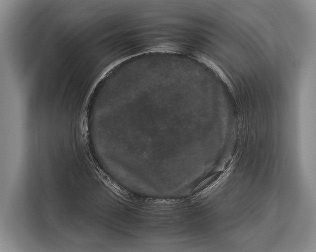 X0000113040923200909171518