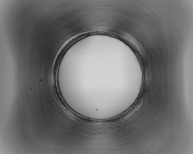 X0000113040924200909171518