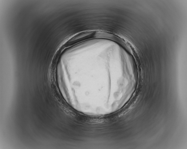 X0000113040925200909171518