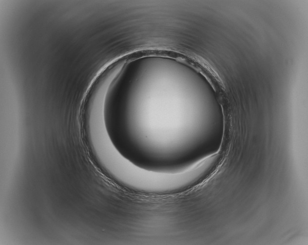 X0000113040926200909171518