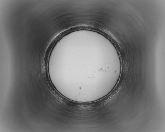X0000113040927200909171518