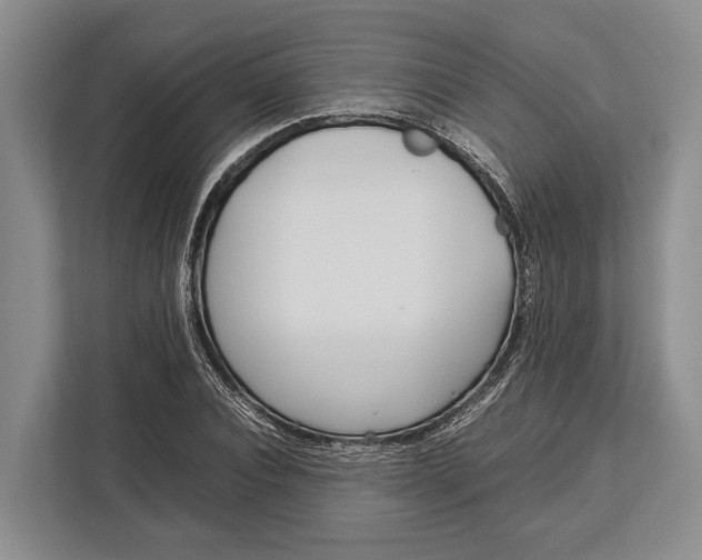 X0000113040928200909171518