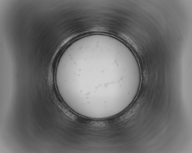 X0000113040931200909171518