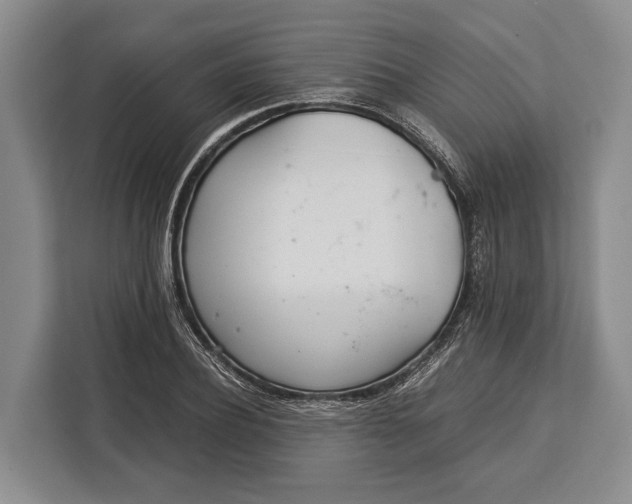X0000113040932200909171518